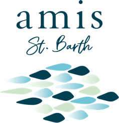 Amis
